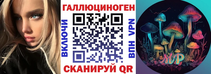купить наркоту  Кодинск  Псилоцибиновые грибы мухоморы 